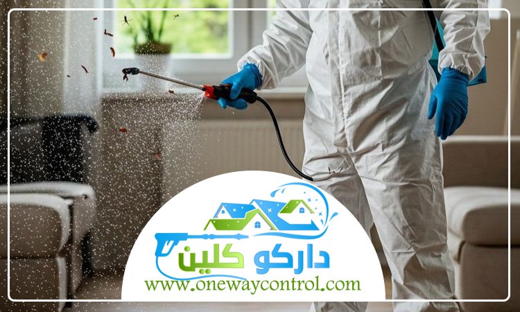 شركة مكافحة حشرات بمكة