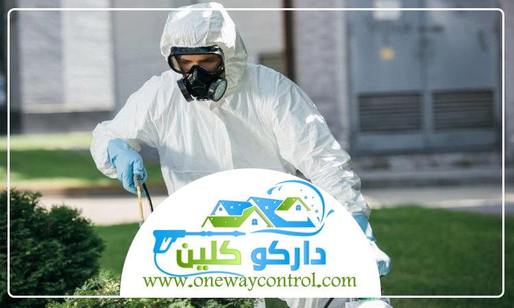شركة مكافحة حشرات بمكة 3 شركة مكافحة حشرات بمكة
