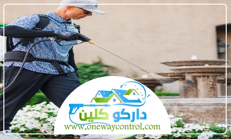 شركة مكافحة حشرات بالجموم