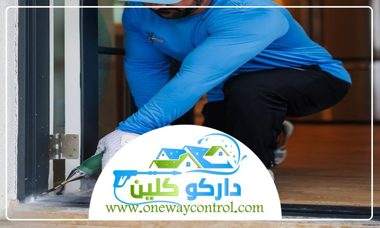شركة مكافحة حشرات بالجموم