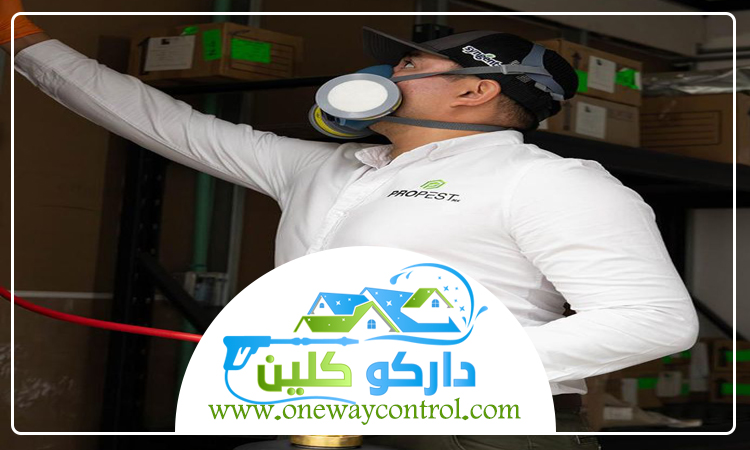 شركة مكافحة حشرات بخليص 3 شركة مكافحة حشرات بخليص