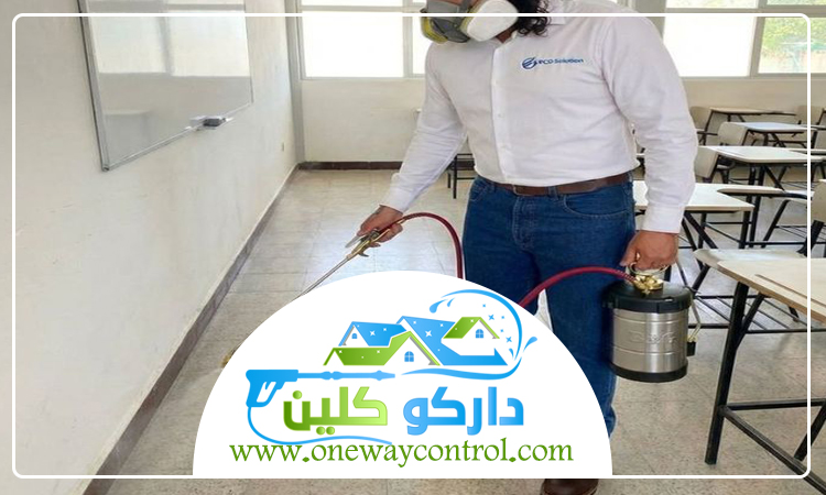 شركة مكافحة حشرات بخليص 2 شركة مكافحة حشرات بخليص