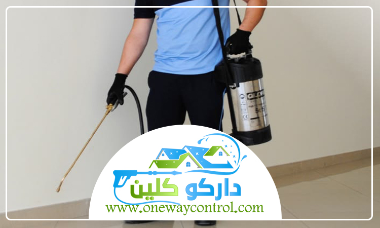 شركة مكافحة حشرات بخليص 1 شركة مكافحة حشرات بخليص