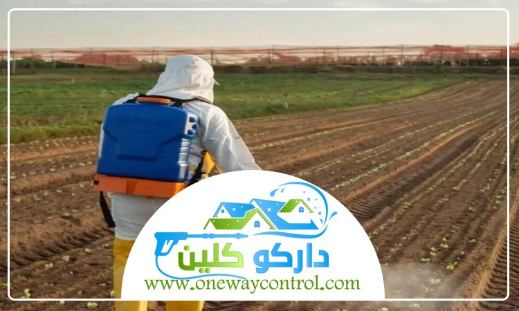 شركة مكافحة حشرات بالقنفذه
