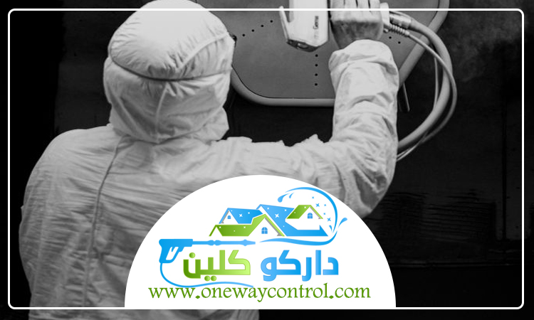 شركة مكافحة حشرات بالقنفذه 2 شركة مكافحة حشرات بالقنفذه