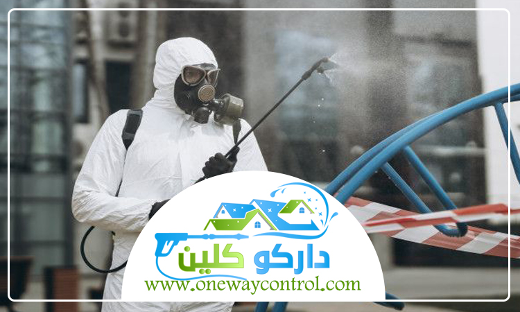 شركة مكافحة حشرات بالقنفذه 1 شركة مكافحة حشرات بالقنفذه