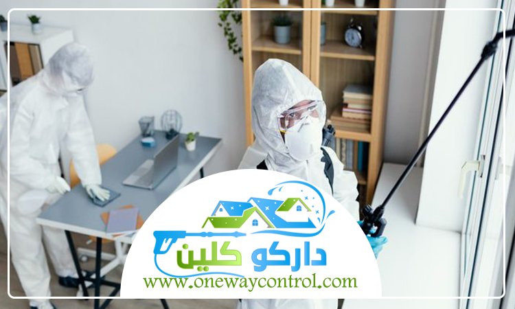 شركة مكافحة حشرات بالقنفذه