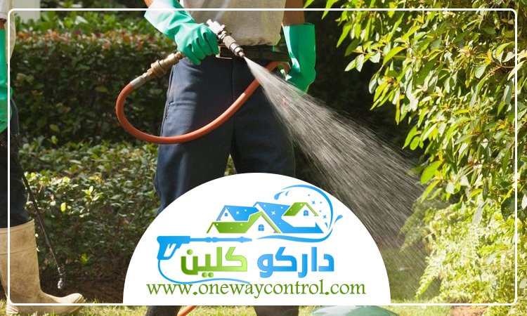 شركة مكافحة النمل الابيض بالجموم