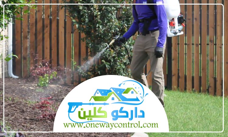 شركة مكافحة النمل الابيض بالجموم