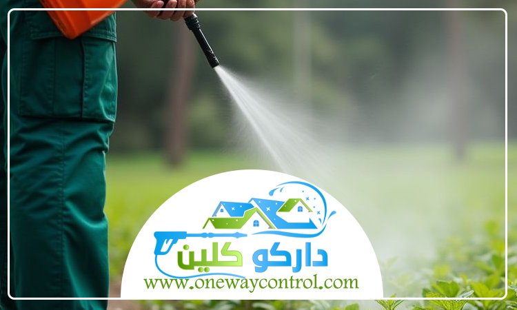 شركة مكافحة النمل الابيض بالجموم