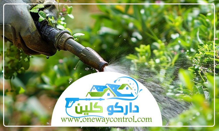 شركة مكافحة النمل الابيض بمكة
