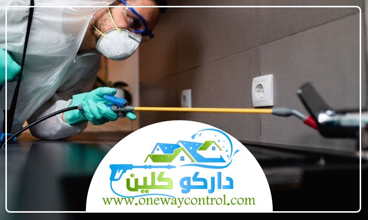 شركة مكافحة حشرات بعسفان 13 شركة مكافحة حشرات بعسفان