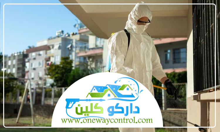 شركة مكافحة حشرات بعسفان 1 شركة مكافحة حشرات بعسفان