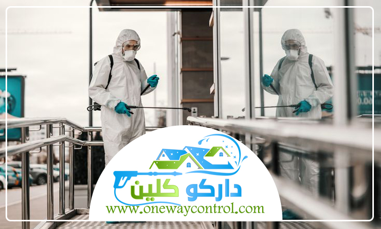 شركة مكافحة العتة بالقنفذه 3 شركة مكافحة العتة بالقنفذه