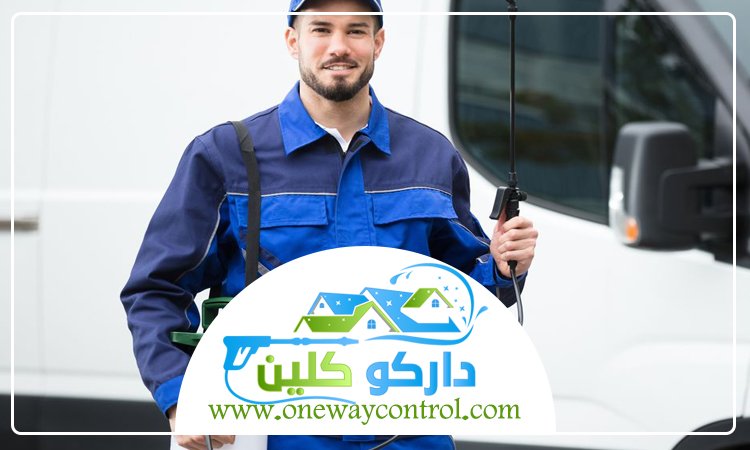 شركة مكافحة العتة بالقنفذه 45 شركة مكافحة العتة بالقنفذه