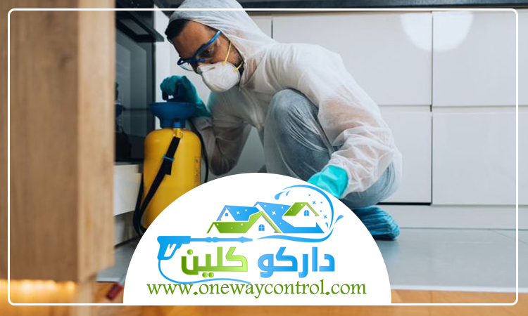 شركة مكافحة العتة بالقنفذه 2 شركة مكافحة العتة بالقنفذه