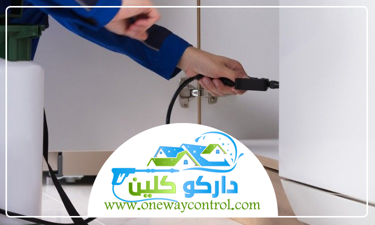 شركة مكافحة العتة بالقنفذه 1 شركة مكافحة العتة بالقنفذه