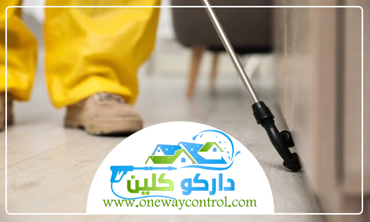 شركة مكافحة العتة بخليص 3 شركة مكافحة العتة بخليص