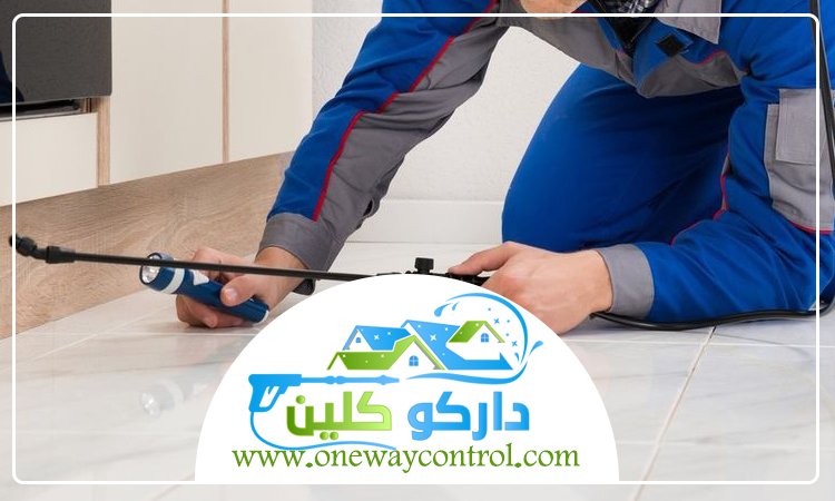 شركة مكافحة العتة بخليص 49 شركة مكافحة العتة بخليص
