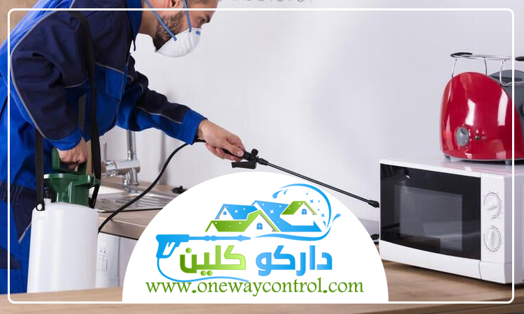 شركة مكافحة العتة بخليص 2 شركة مكافحة العتة بخليص