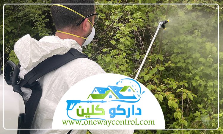 شركة مكافحة حشرات برابغ 5 شركة مكافحة حشرات برابغ