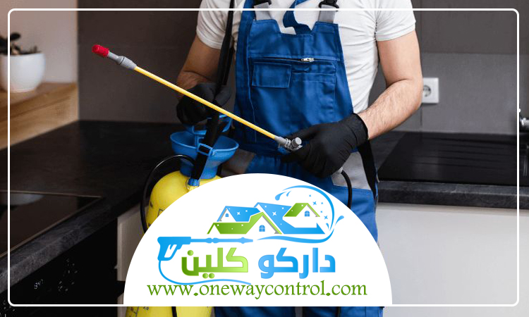 شركة مكافحة حشرات بالباحة 3 شركة مكافحة حشرات بالباحة