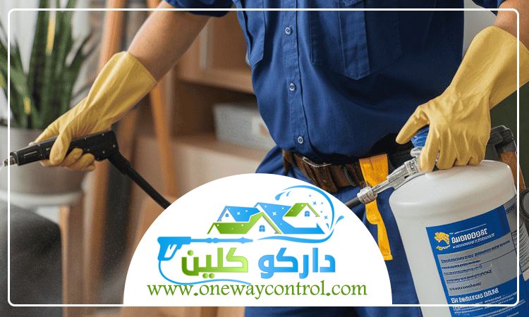 شركة مكافحة حشرات بالباحة