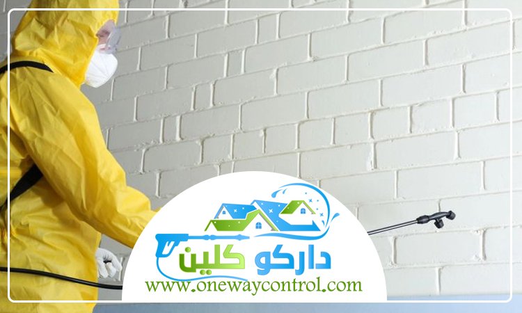 شركة مكافحة العته بالباحة