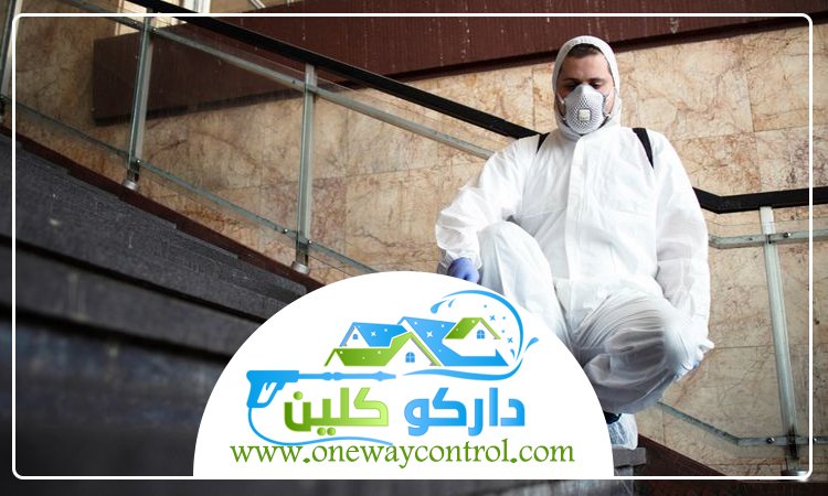 شركة مكافحة العته بالباحة 7 شركة مكافحة العته بالباحة