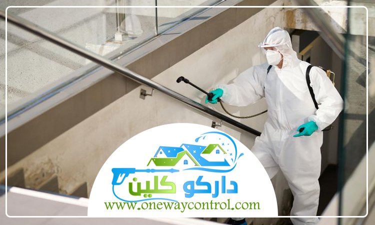 شركة مكافحة العته بالباحة