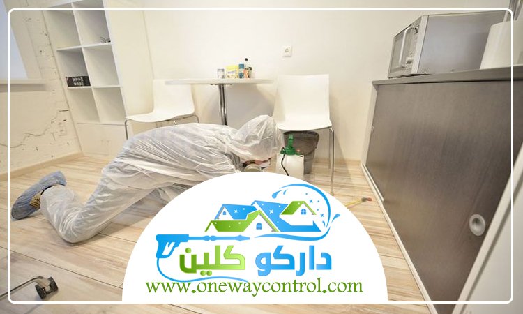 شركة مكافحة العته بالباحة
