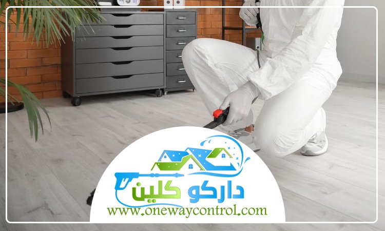 شركة مكافحة النمل الابيض بالطائف 6 شركة مكافحة النمل الابيض بالطائف