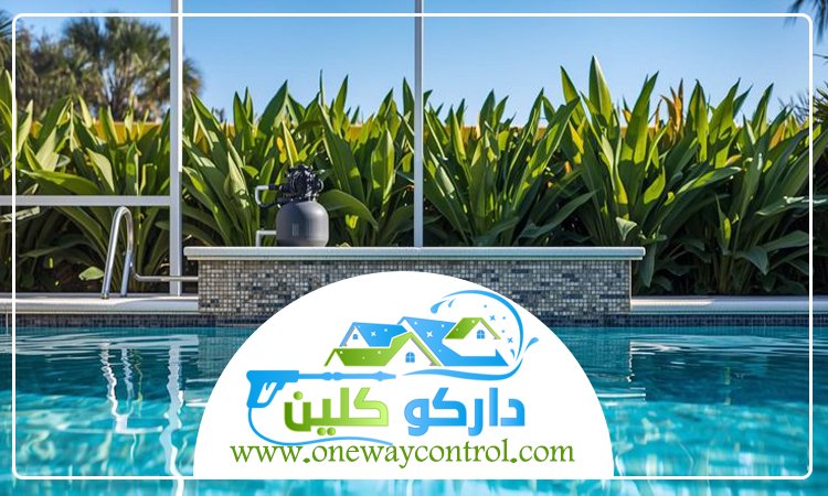 شركة تنظيف مسابح بالليث
