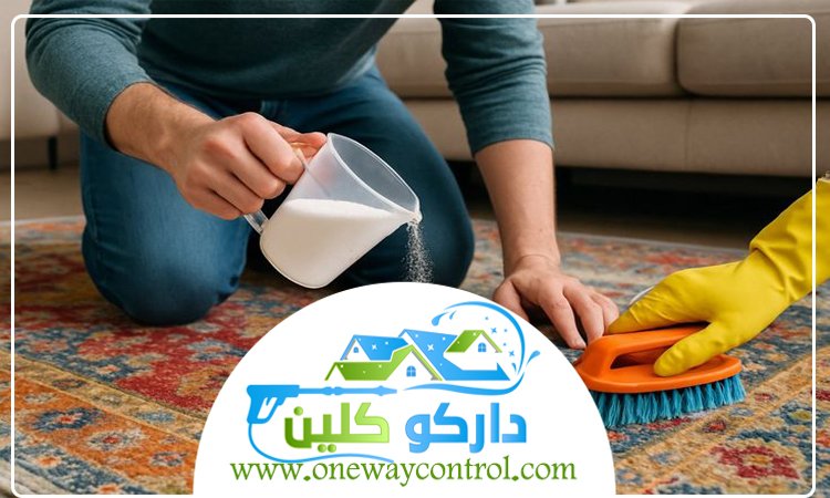 شركة تنظيف سجاد بالقوز