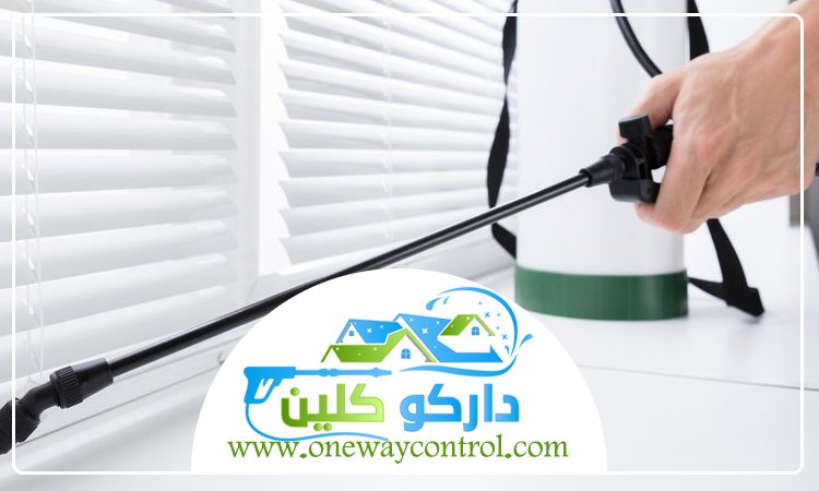 شركة مكافحه الوزغ بمكة