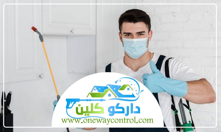 شركة مكافحه النمل الابيض بمكة 57 شركة مكافحه النمل الابيض بمكة