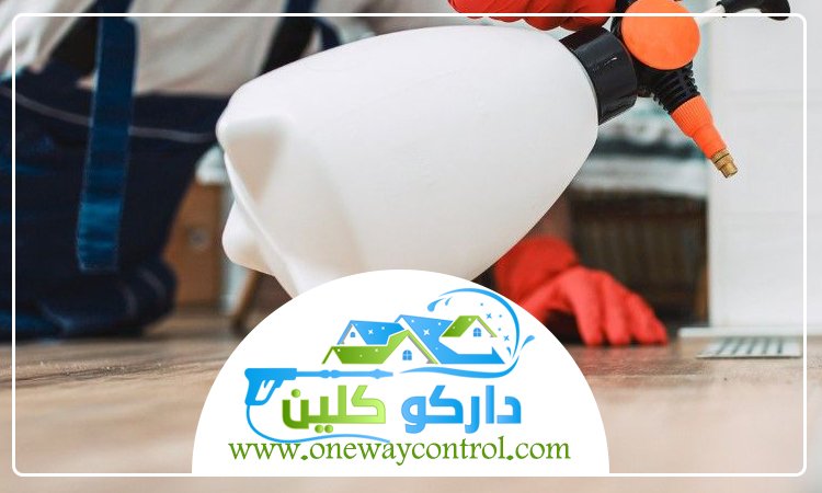 شركة مكافحة الوزغ بمكة 5 شركة مكافحة الوزغ بمكة