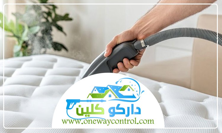 شركة تنظيف بالبخار بالمدينة
