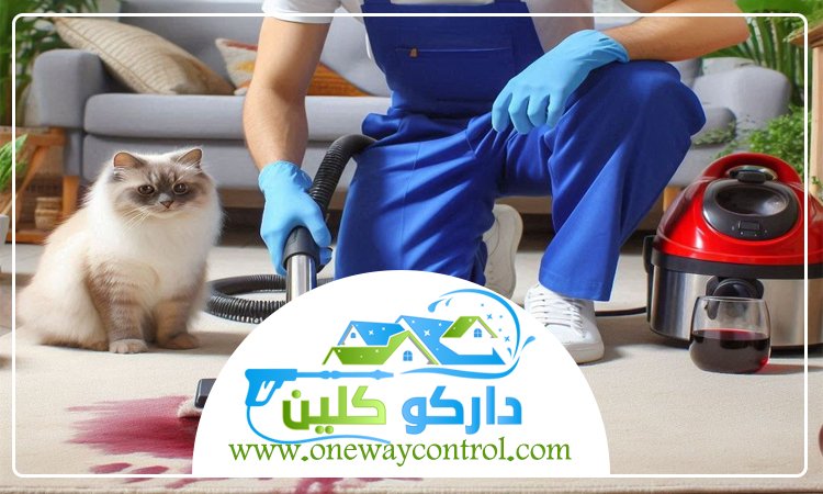 شركة تنظيف بعسفان 4 شركة تنظيف بعسفان