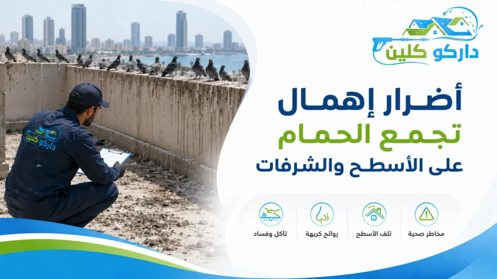 أضرار إهمال تجمع الحمام على الأسطح والشرفات أضرار إهمال تجمع الحمام على الأسطح والشرفات
