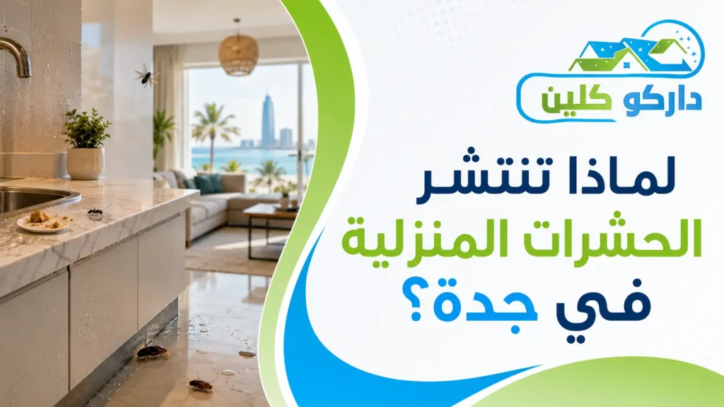 لماذا تنتشر الحشرات المنزلية في جدة؟
