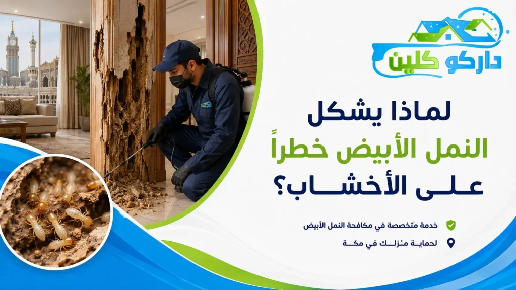 لماذا يشكل النمل الأبيض خطرًا على الأخشاب؟ لماذا يشكل النمل الأبيض خطرًا على الأخشاب؟