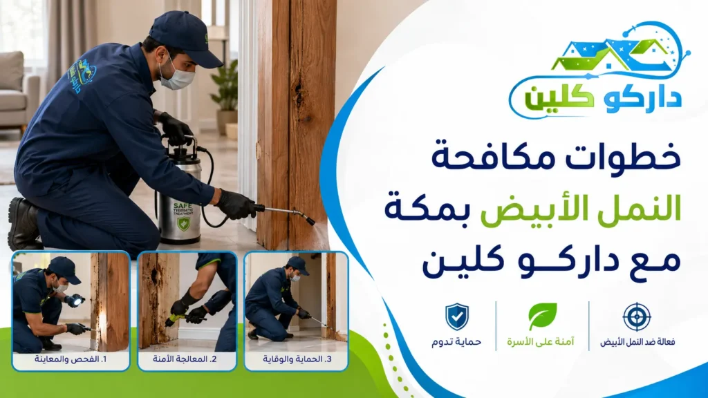 خطوات مكافحة النمل الأبيض بمكة مع داركو كلين فحص النمل الأبيض قبل موسم الأمطار