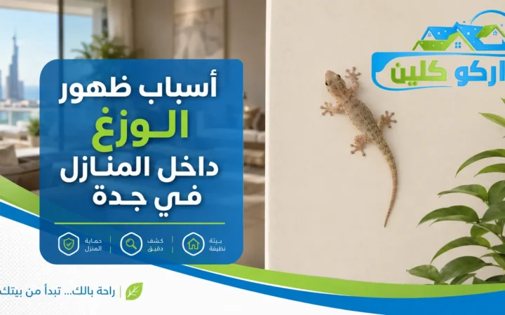 أسباب ظهور الوزغ داخل المنازل في جدة