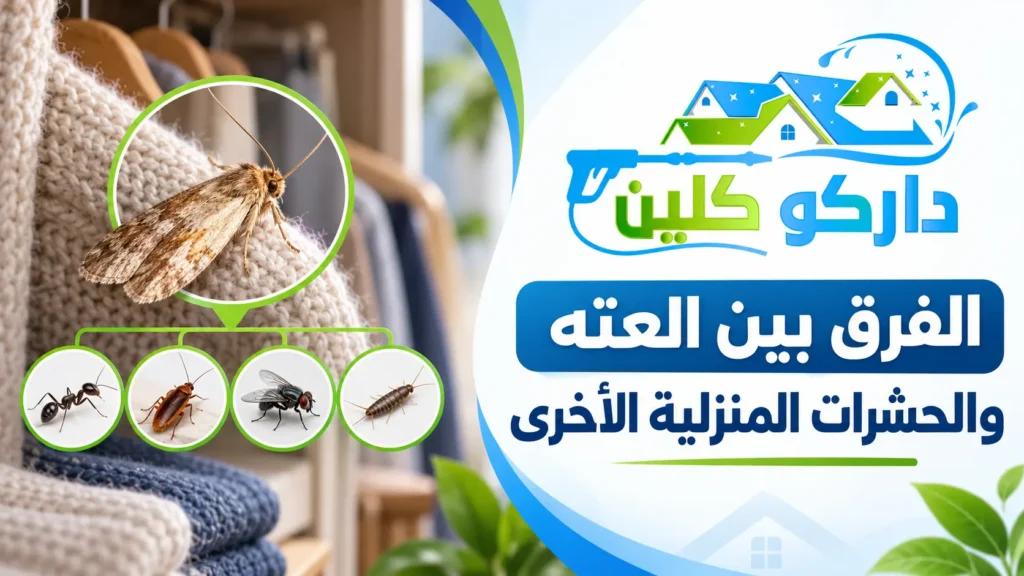الفرق بين العته والحشرات المنزلية الأخرى الفرق بين العته والحشرات المنزلية الأخرى