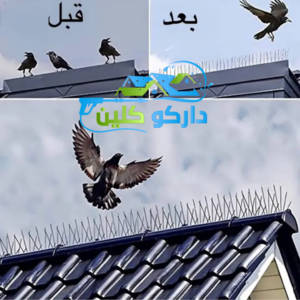 أفضل شركة تركيب طارد الحمام: دليلك الشامل لحماية البيانات والتخلص من الحشرات نهائياً