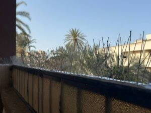 أفضل شركة تركيب طارد الحمام: دليلك الشامل لحماية البيانات والتخلص من الحشرات نهائياً