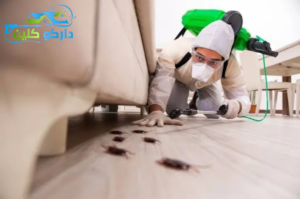 شركة مكافحة الحشرات بمكة: 3 معايير حاسمة تضمن لك حماية مثالية 1 استخدامنا بشركة مكافحة الحشرات بمكة