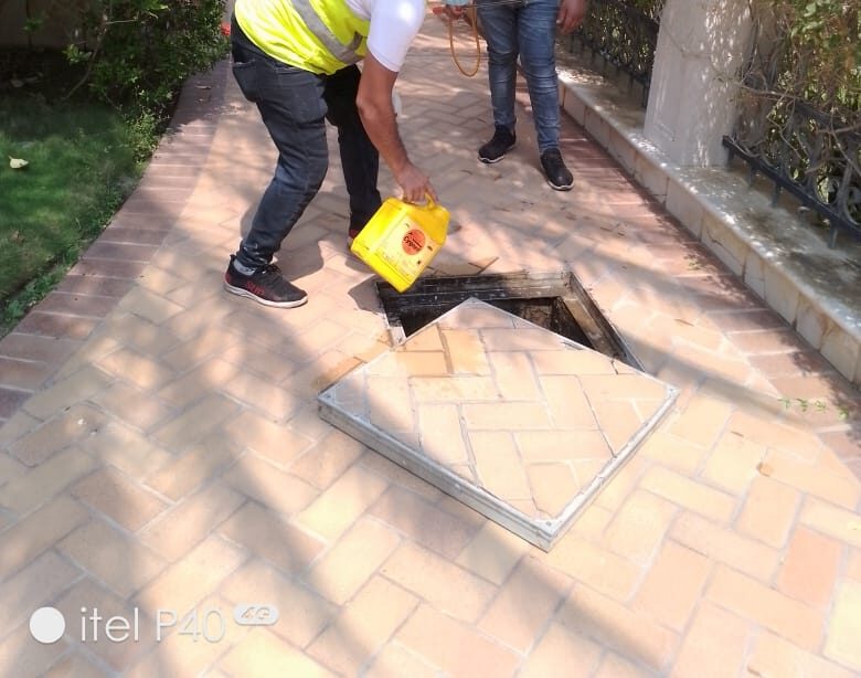 شركة مكافحة الحشرات بجدة: دليل التخلص النهائى من الآفات بأحدث الطرق